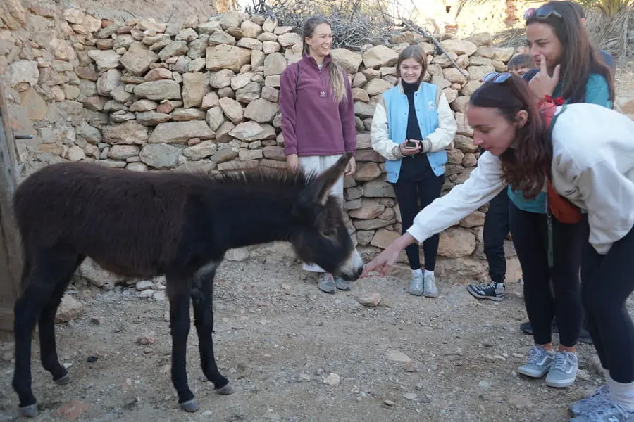 Amazigh Mountain Village